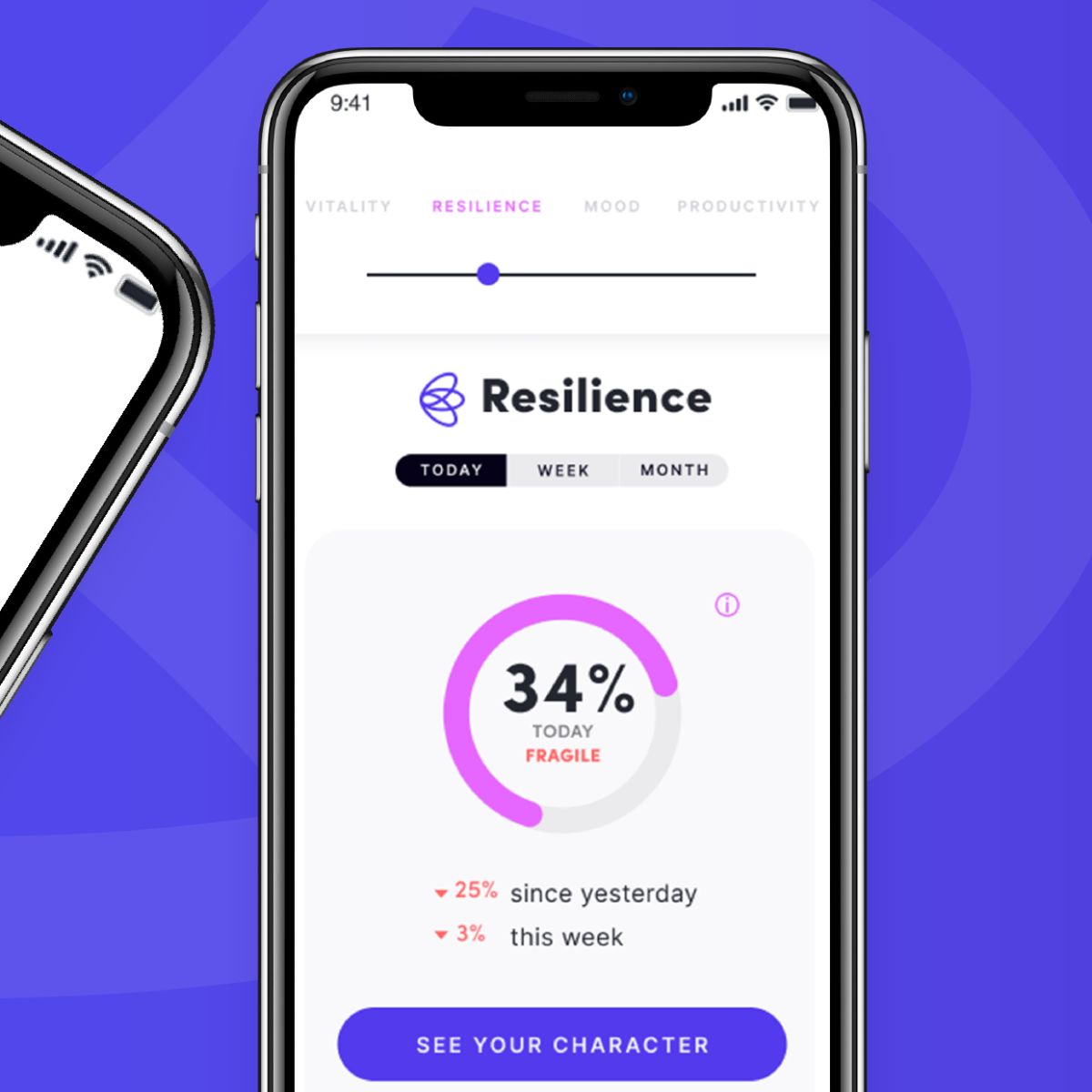 Mock up of the Emaptho App showing the Resilience screen.
